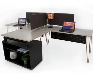 Industrial Modern Double Workstation