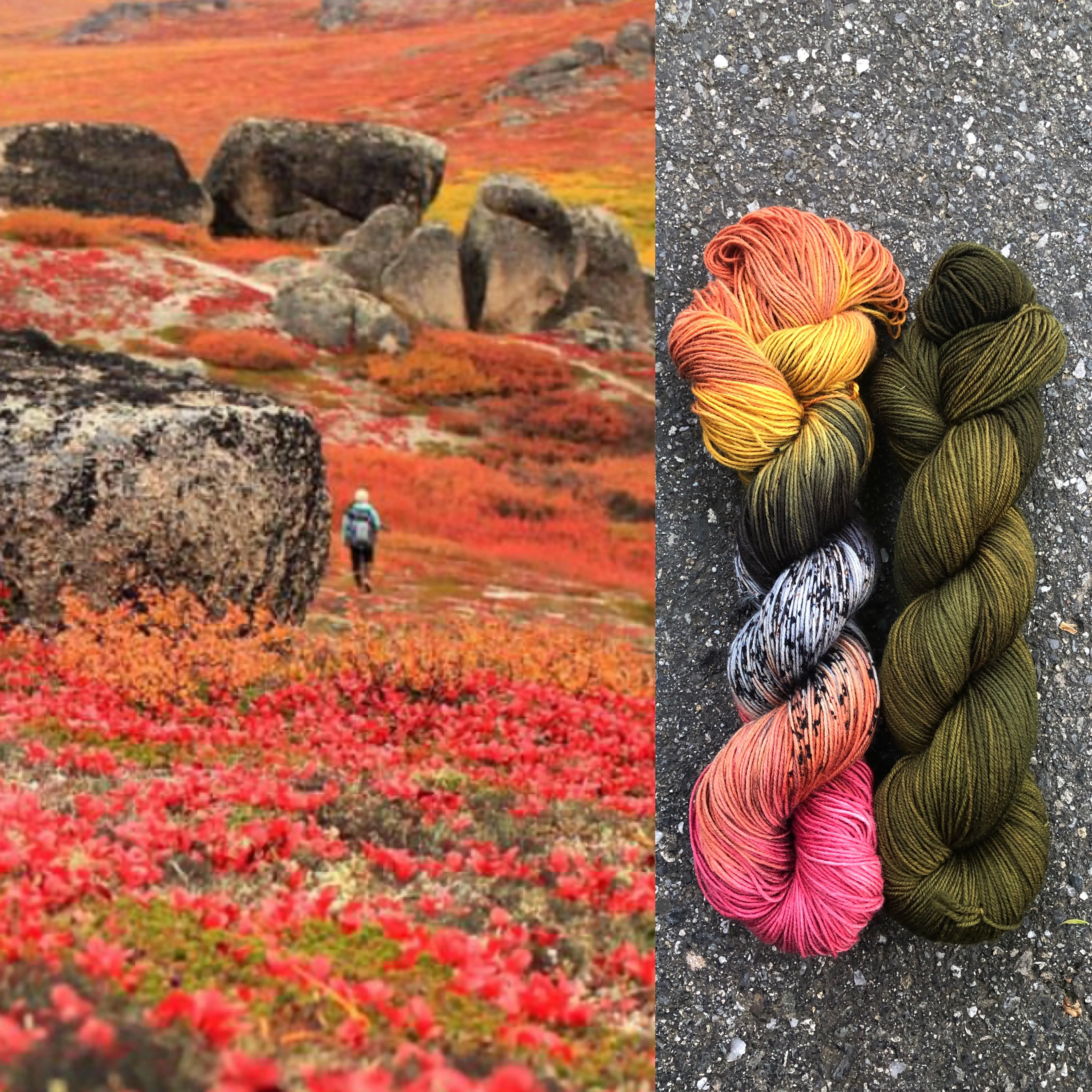 Knitting Our National Parks - Round Mountain Fibers - Bering Land Bridge National Preserve